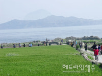 제주 가파도 청보리축제, 4일 개막...봄 바람에 일렁이는 초록 물결