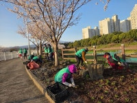 화북동 새마을부녀회, 봄맞이 산책로 꽃길 조성