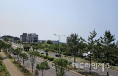 제주시 연북로 거리에 도시바람길숲 조성 마무리