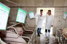 김완근 제주시장, 양돈장 악취관리 선도농장 운영상황 점검