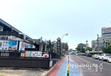 제주 함덕해수욕장-전농로 벚꽃거리, 골목형상점가로 지정
