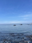 뜨거워지는 바다, 제주 수산업도 위험하다
