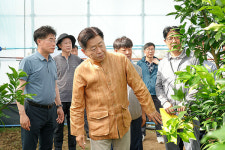 제주 태양광 감귤 하우스 실증 돌입...1차산업 RE100 확산