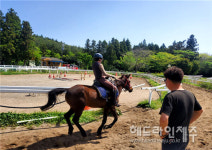 2026 전국체전 승마, 제주에서 달린다...경기시설 확충 착수