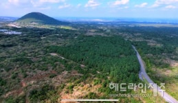 제주 덕천리에 대규모 태양광 사업 추진...마라도 두배 면적