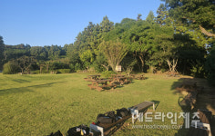 서귀포시 안덕초 학교숲, 산림청 녹색도시 우수사례에 선정