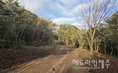 서귀포시, 상효 임도 연장 완료...주민의견 반영 친환경 공법 적용