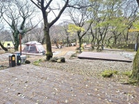 한라산 관음사 야영장, 힐링 명소로 탈바꿈...내년 1월 개장