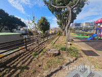 서귀포시, 서귀포초.법환초에 학교 숲 조성 추진