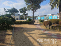 서귀포시, 서귀포초.법환초에 학교 숲 조성 추진