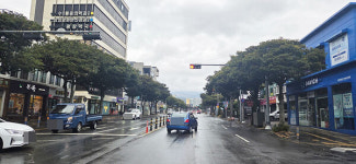 서귀포시, 가로수 실명제 추진...지속가능한 도시녹지