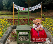 설 연휴 서귀포시 공영 관광지 방문객, 전년 대비 대폭 증가