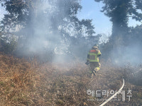 서귀포 성산읍 야초지 화재...5시간 여만에 가까스로 진화