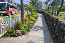 신례초.서귀포초 어린이보호구역 자녀안심 그린숲 조성