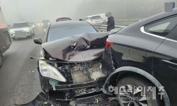 제주 평화로에 짙은 안개...교통사고 잇따라