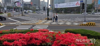 도심을 물들인 붉은 물결...도심 소공원 철쭉 만개 (포토)