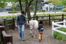 렛츠런파크 제주, 3일 무료 개방...꼬마마부 체험 진행