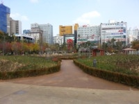 부산 북구, 화명신도시 장미마을 조성 ... 10일 준공, 새로운 명소로 각광!