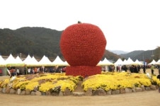경북 청송군, 2014년 축제 일정 확정