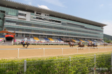 렛츠런파크 부산경남, 4개월 만에 무고객 경마 재개