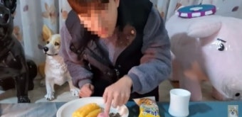 유튜버 코기TV지훈 