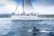 리솜리조트, 광복절 이벤트 풍성