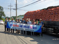 영천시, 홍산마늘 200톤 서울가락시장으로 첫 출하