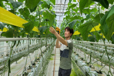 박정호 예천농기센터 농촌지도사, 경북 최연소 시설원예기술사 취득