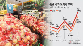 최장 장마에 태풍까지, 금값된 햇과일…대형마트 과일 확보 총력전