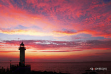 제11회 영광백수해안도로 노을축제 취소