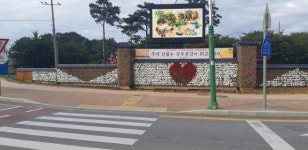 상주시, 후천교 사거리에 꽃벽 설치 호응…추석전후 만개