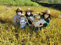 화성시, 들녁에 어린이들이 만든 허수아비 세워