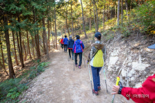영광 물무산 행복숲, 한국관광공사 가을 비대면 관광지 100선 선정