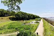 평화누리길 어플과 함께 비대면 걷기행사 참여 하세요