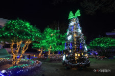 [포토] 진안군청으로 반짝반짝 야간 조명 구경오세요