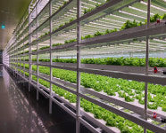 대전시, 전국 최초 ‘아파트 팜’ 조성 추진…각종 야채 주민이 직접 생산