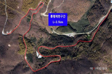 태백시, 옛 국도 38호선 금대봉길 내년 3월말까지 통행 금지