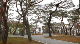 [여행] 마음으로 좇는 희망의 길