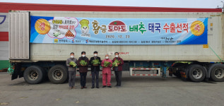 전남도, 해남산 ‘배추’ 태국 첫 수출... 소비자 입맛 공략
