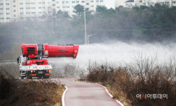 정읍 입암면 육용오리 농장, 고병원성 AI 확진