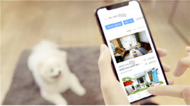 서울시, 취미가 일자리로…중장년 일자리모델 반려견돌봄전문가 60명 모집