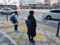 세종시, 학교·학원가 횡단보도 67곳에 노란발자국 추가 설치