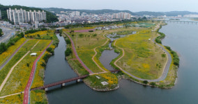안동시, 낙동강변 경관초화단지로 조성