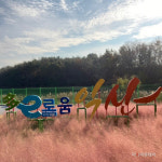 익산시, 신흥공원 확장 힐링공간으로 탈바꿈