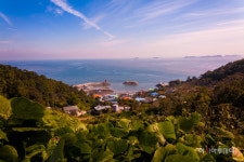 안산시, 야생화의 섬 풍도 지명 풍도(楓島)로 정식 제정