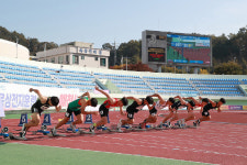 예천군, 전국실업육상경기선수권·전국대학대항육상경기 개최