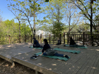 송파구, 천마근린공원에서 힐링프로그램 운영