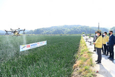 김천시, 구성면 양파밭에 드론 활용 병해충 방제 시작