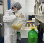 이천농기센터, 한우 송아지 초유은행 운영 호응