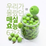 [리스티클] 우리가 몰랐던 매실 효능 6가지